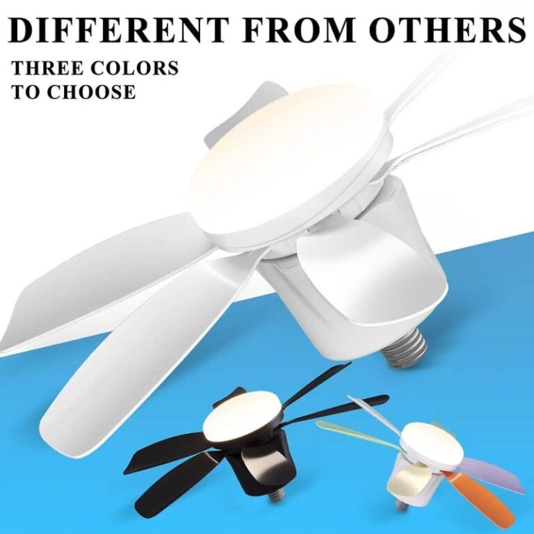 WhatsApp Image 2024-09-06 at 9.22.59 AM