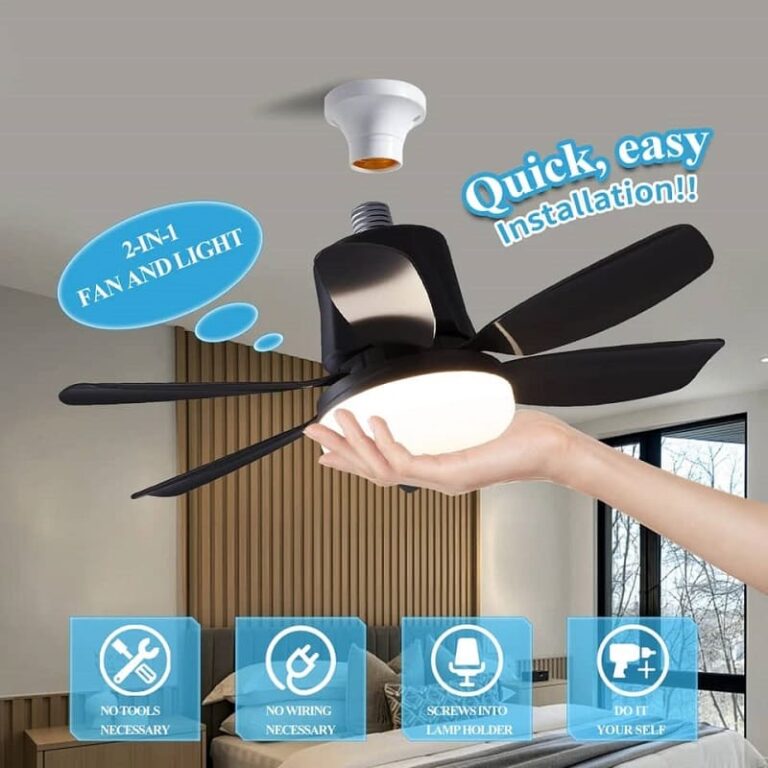 WhatsApp Image 2024-09-06 at 9.23.01 AM