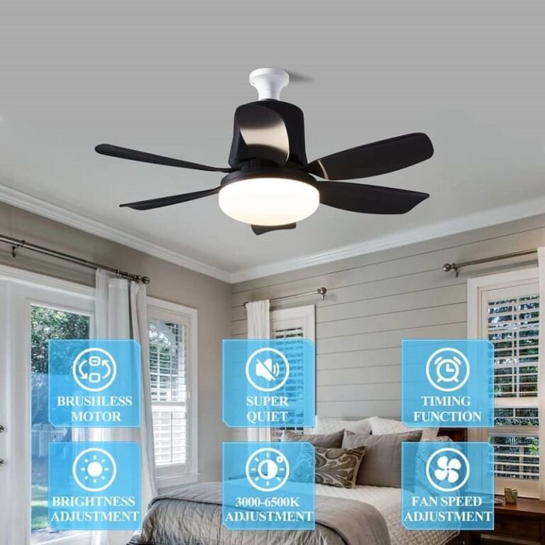 WhatsApp Image 2024-09-06 at 9.23.02 AM (1)