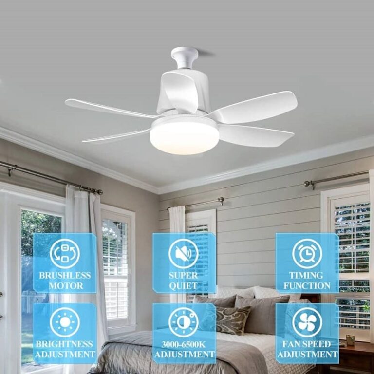 WhatsApp Image 2024-09-06 at 9.23.02 AM